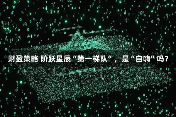 财盈策略 阶跃星辰“第一梯队”，是“自嗨”吗？