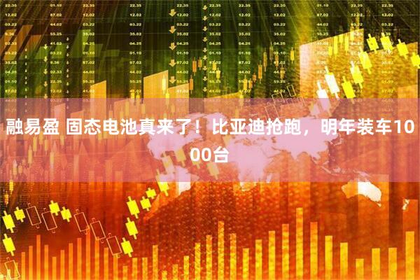 融易盈 固态电池真来了！比亚迪抢跑，明年装车1000台