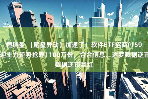 恒瑞盈 【尾盘异动】加速了！软件ETF招商(159899)迎主力逆势抢筹1100万份，合合信息、达梦数据逆市飘红