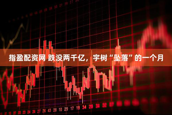 指盈配资网 跌没两千亿,宇树“坠落”的一个月
